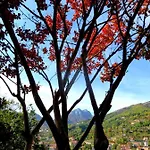 Il Casale Del Generale